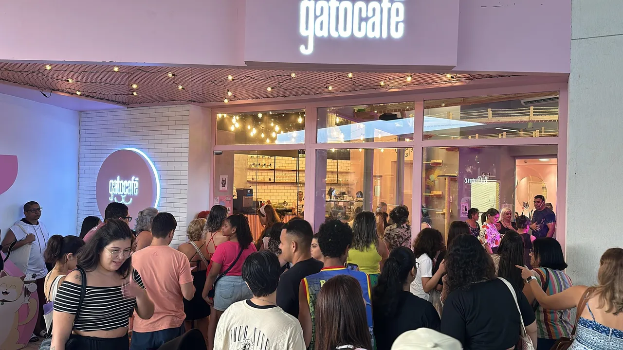 Passo Franquia Gato Café no Norte Shopping - Oportunidade Única
