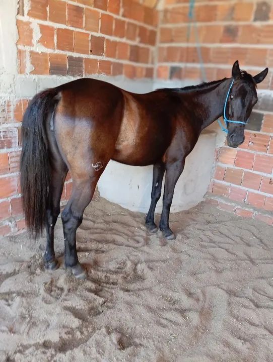 Só entro em contato se tiver interesse - Foto 3