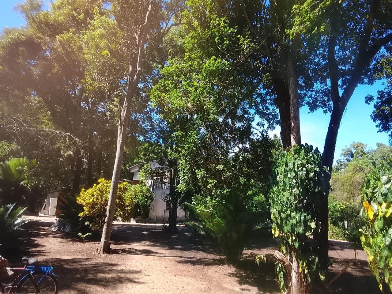 Chácara com 2 casas  - Foto 3