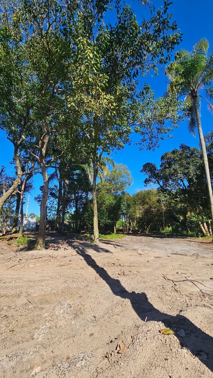 Terreno 1.000m² para Locação no Campeche | 5KM do Aeroporto de Florianópolis - Foto 4