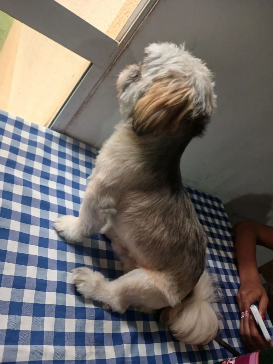 Doação  - Foto 2