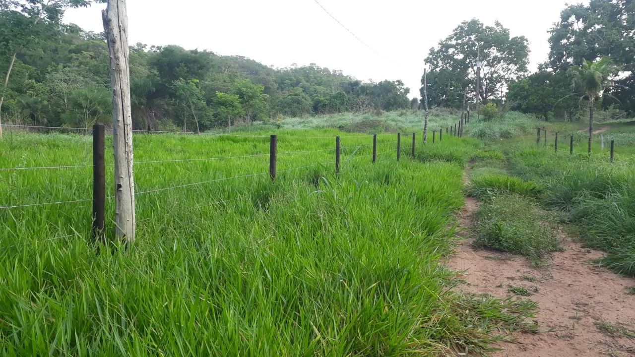*FAZENDA NO MUNICÍPIO DE MIRACEMA -TO  - Foto 3