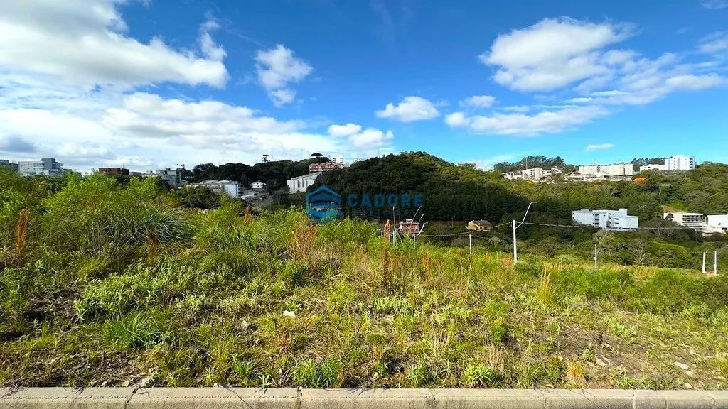 TERRENO NO SÃO LUIZ COM 364m²