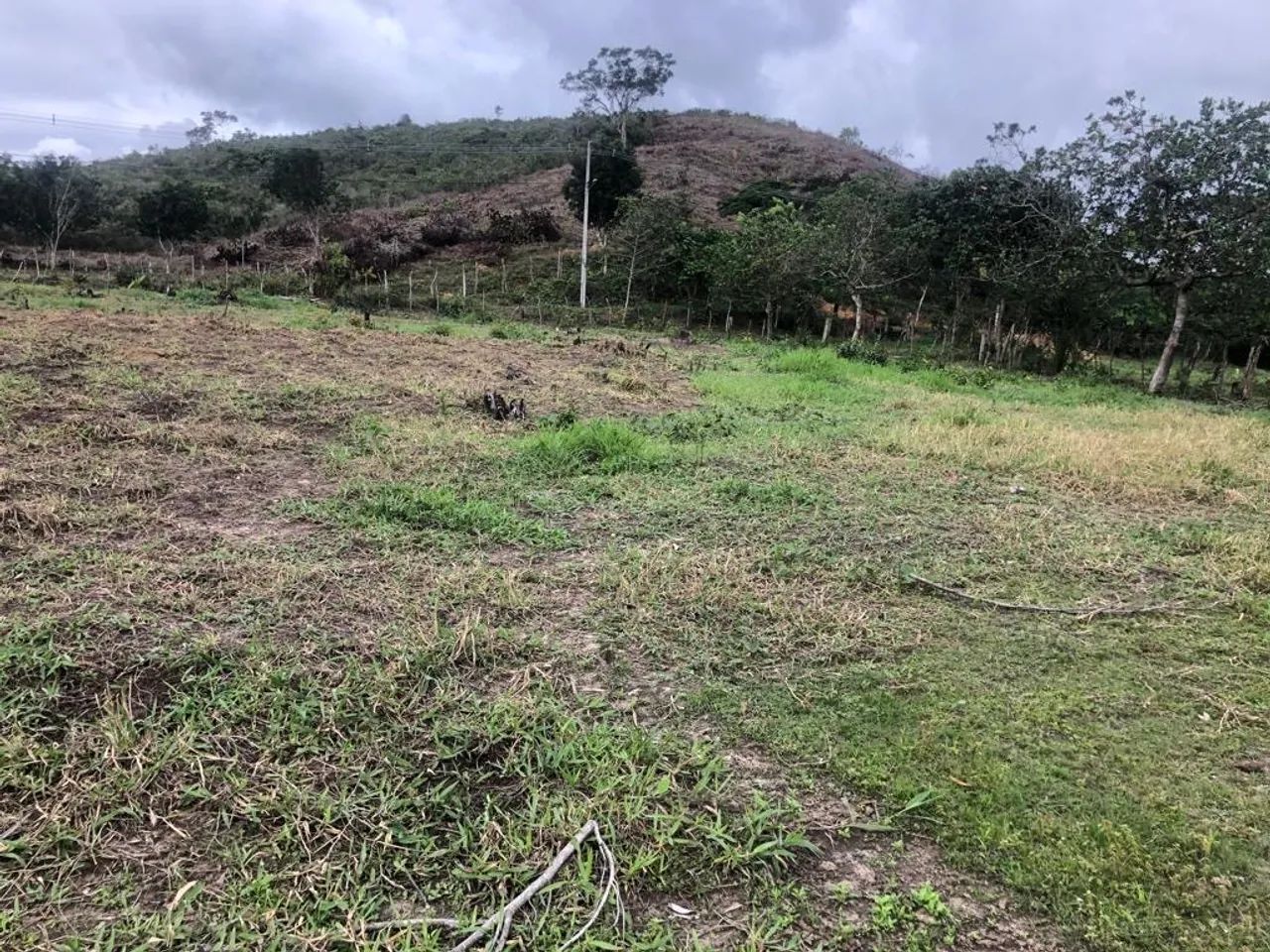 Sítio / Chácara - 2.300m2 - Foto 5