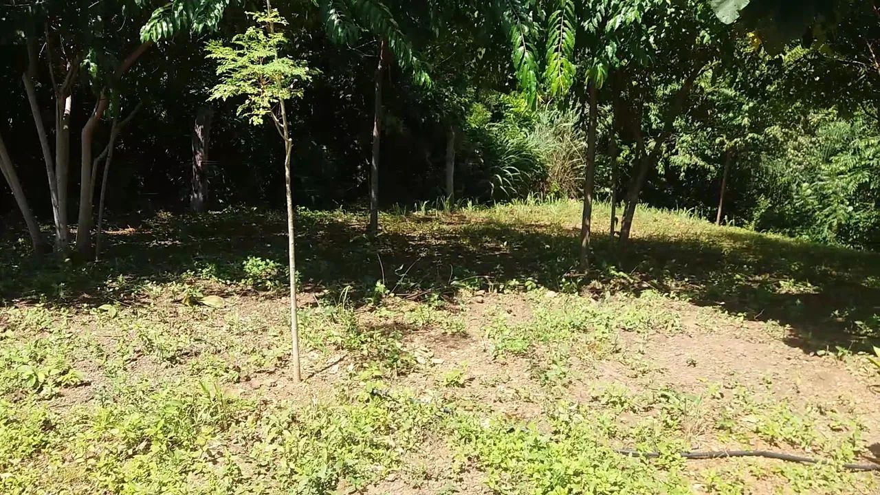 Chácara bem localazada - Foto 2