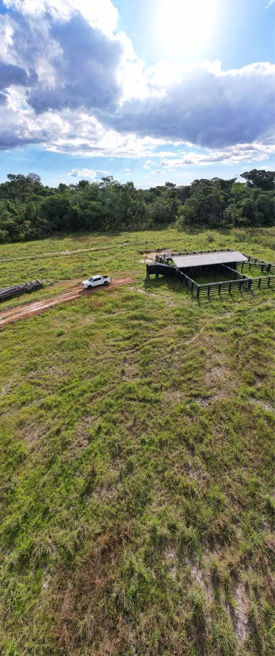 FAZENDA A VENDA 309 HECTARES  - Foto 2
