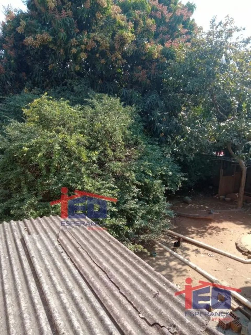 Residencial - Sao Pedro - Foto 4