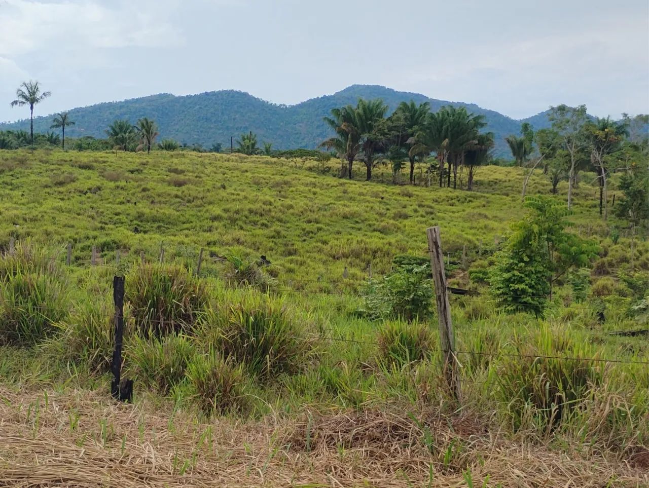 02 lotes um ao lado do outro, muita água é muito pasto.