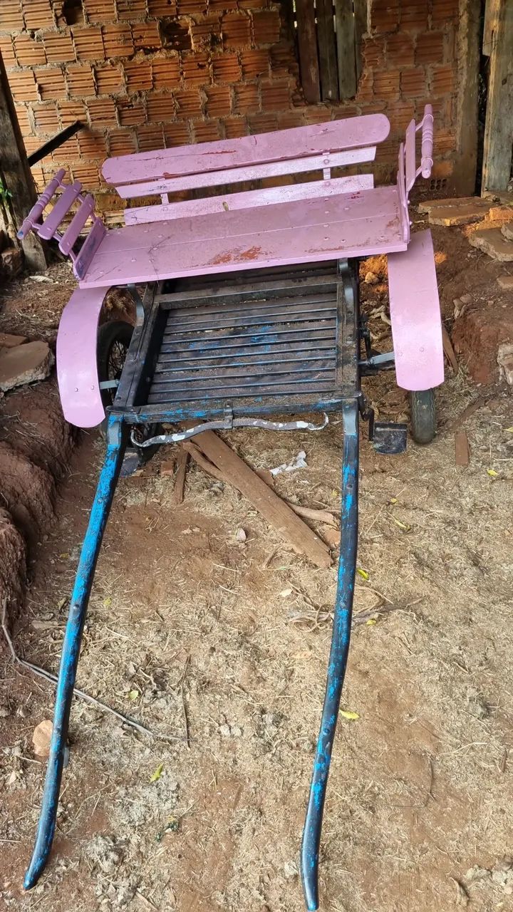 Pônei fêmea com charrete - Foto 2