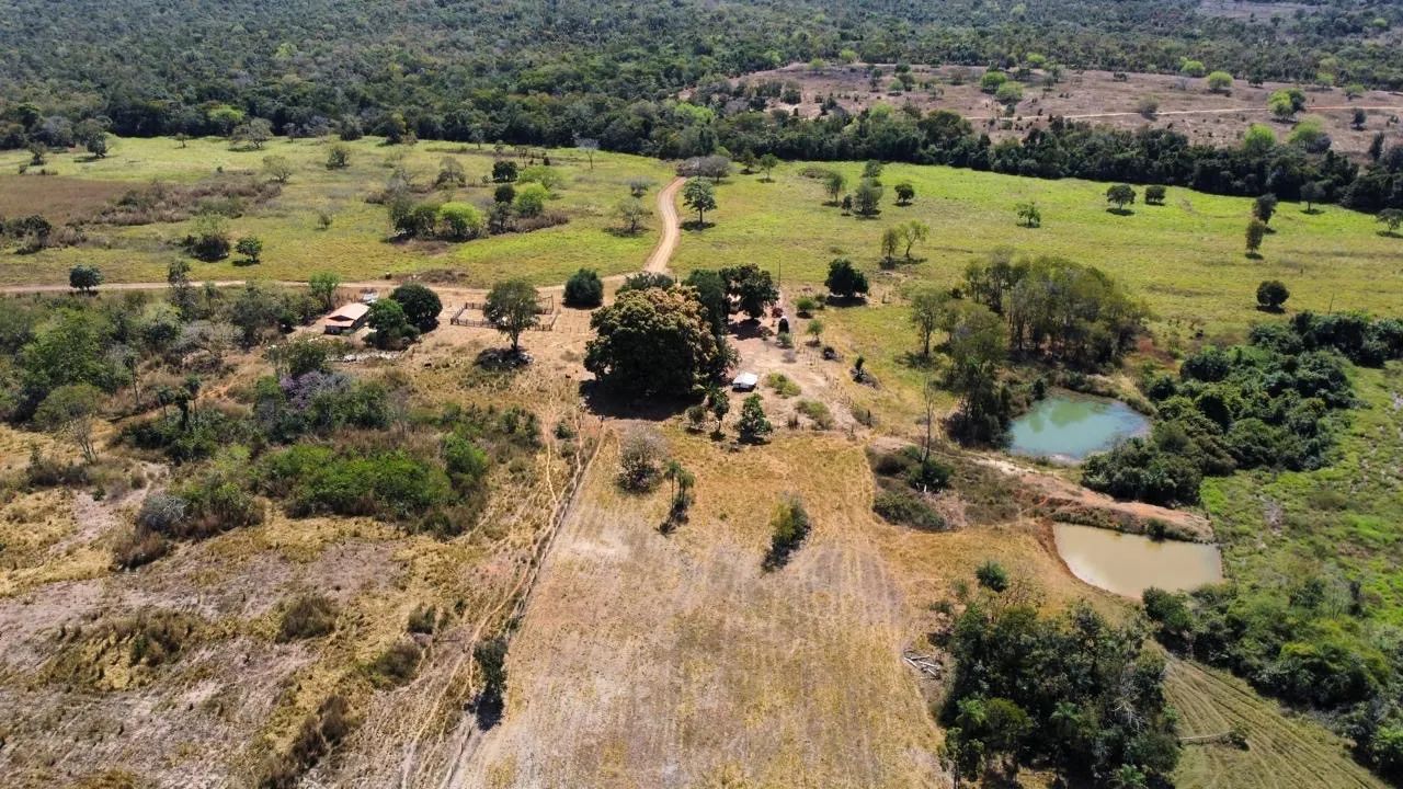 Fazenda de Dupla Aptidão - Silvanópolis 
