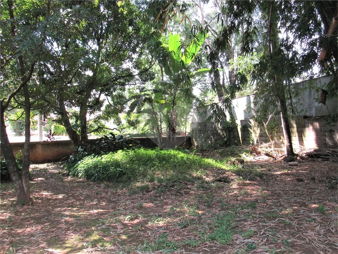 Terreno a venda na Granja Julieta - Foto 3