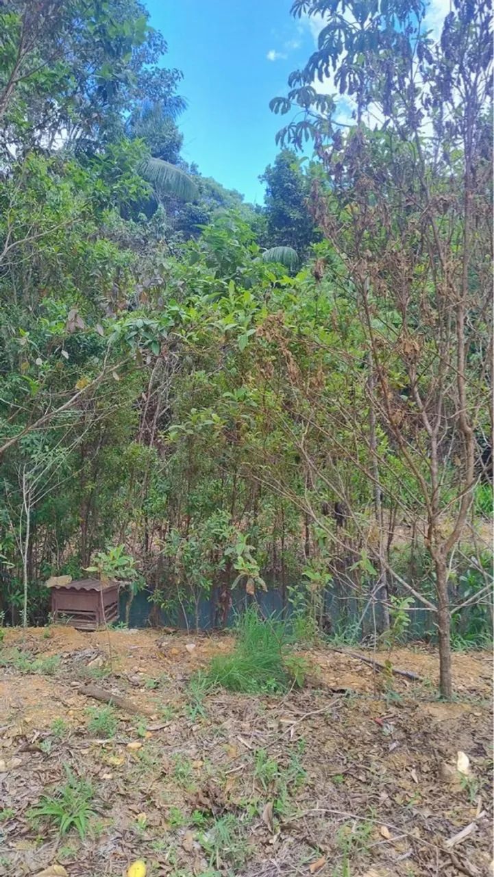 Vendo Chácara Rodeador Brazlândia  - Foto 12