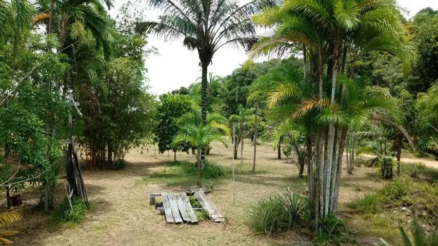 Sítio na  BR 174, no km16 - Foto 4