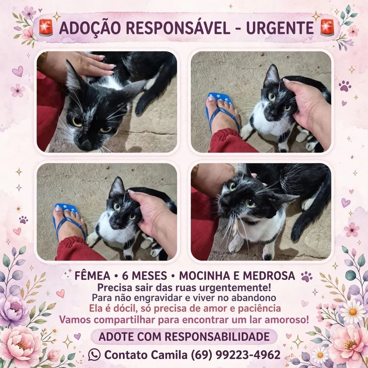 Adoção Responsável 