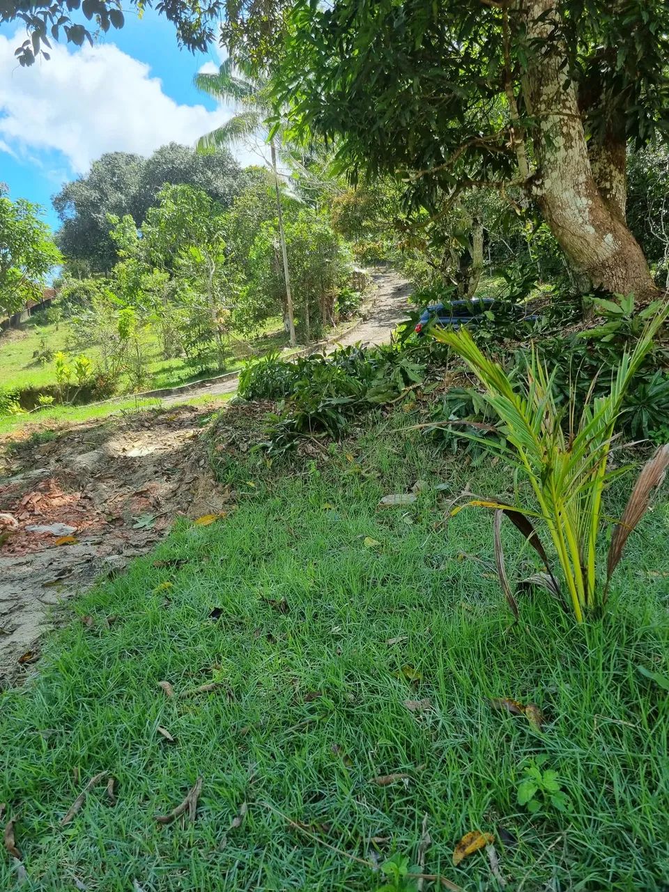 Aluguel Sítio Isbran  - Foto 12