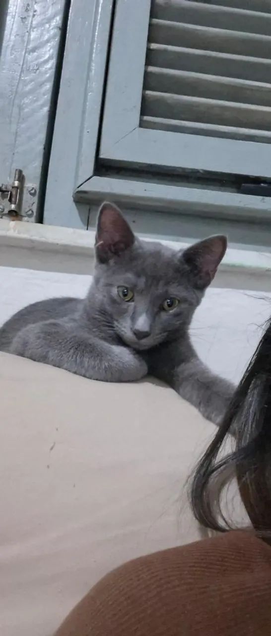 Doação responsável  - Foto 4