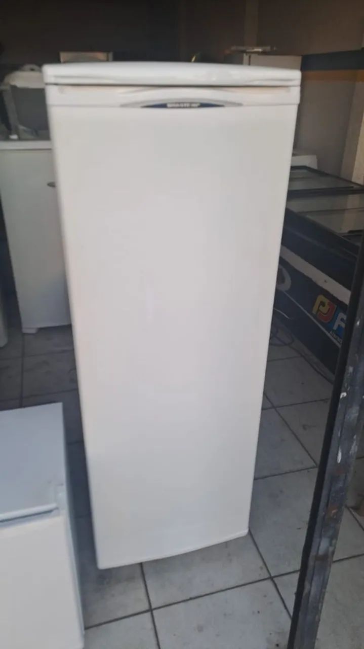 Freezer vertical