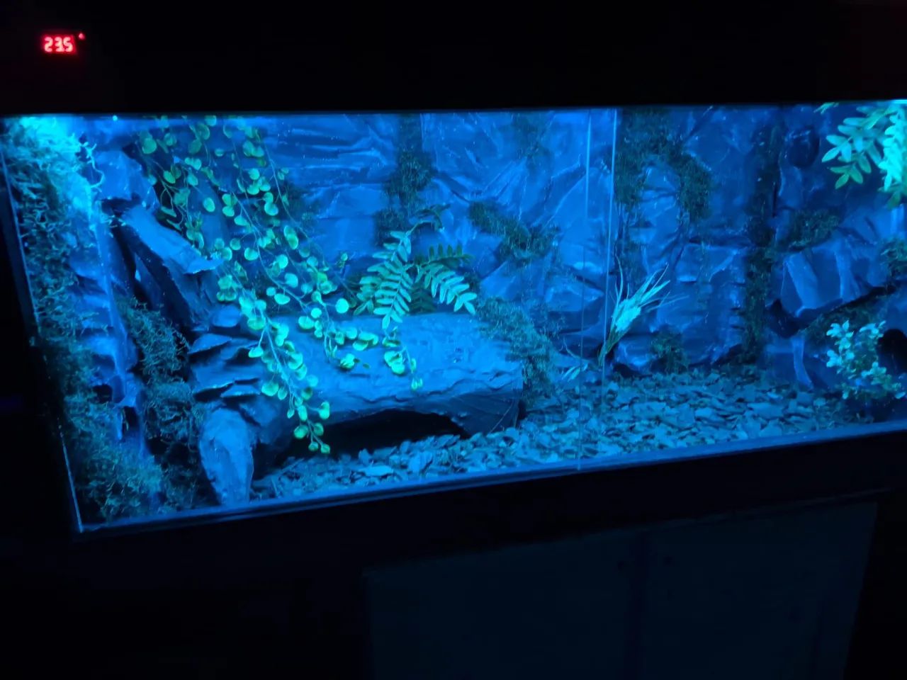 Terrário Com Beckground e Toca Personalizados Curitiba 