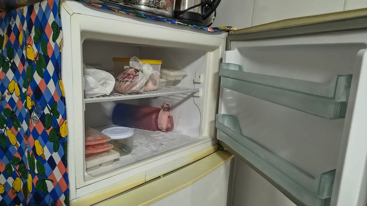 Geladeiras 110  - Foto 4