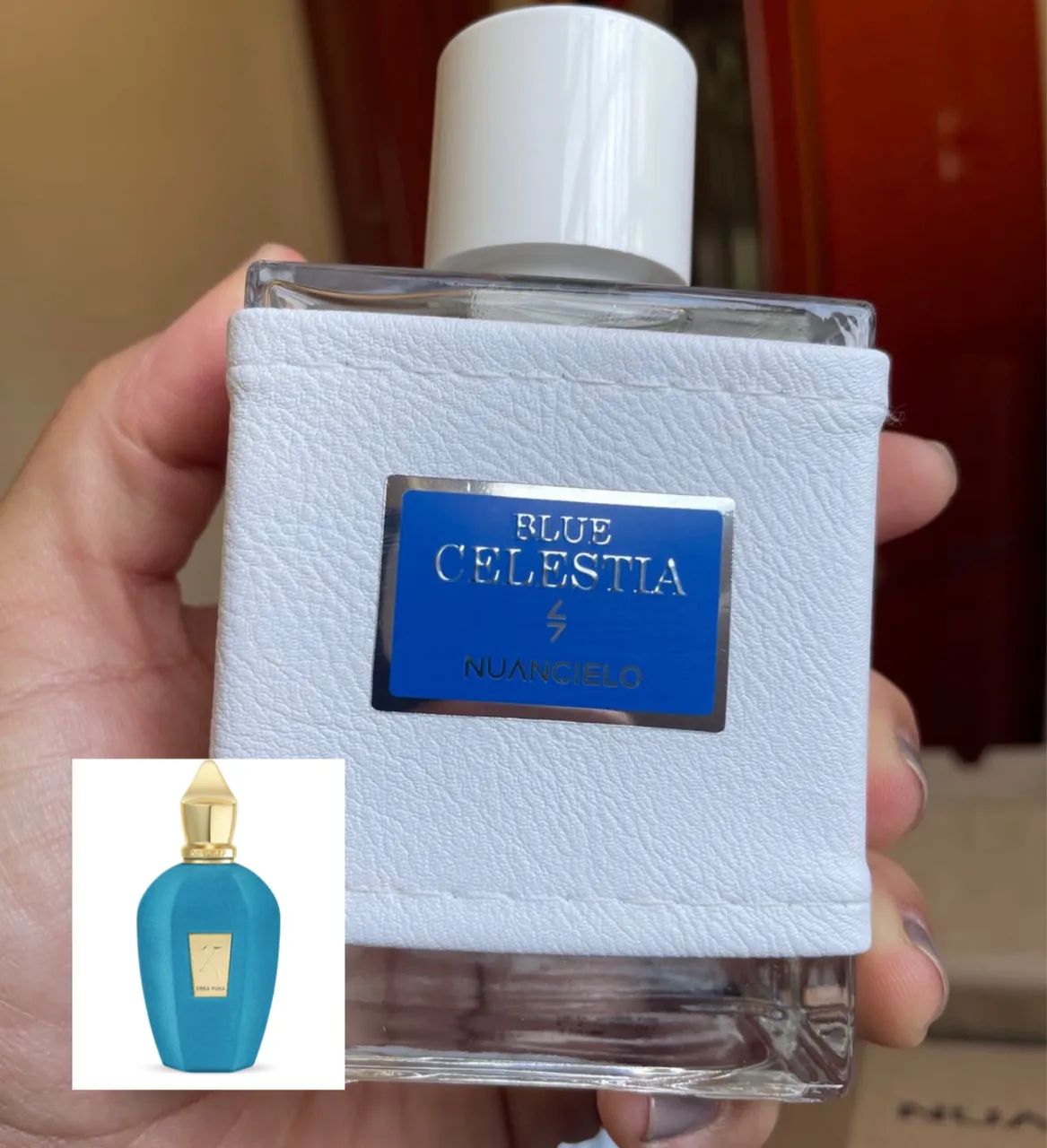 Nuancielo blue celestia