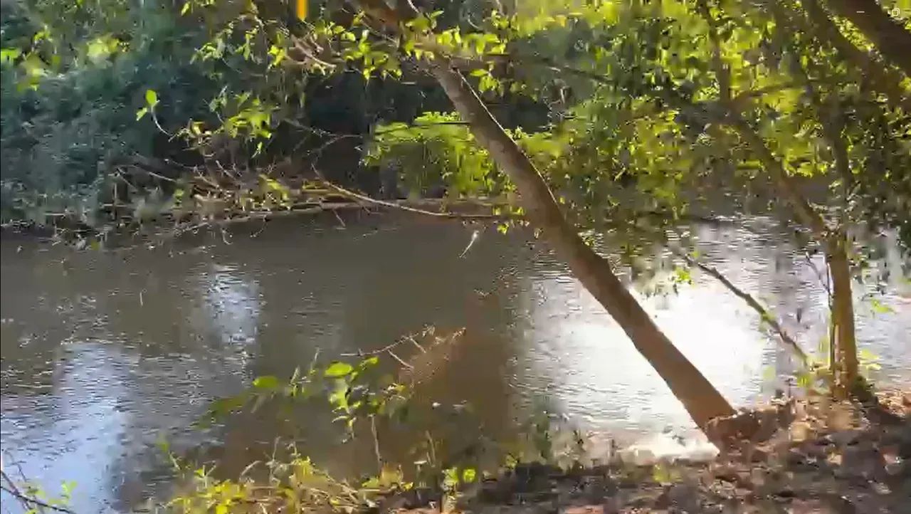 Vendo Chácara a venda com 5 quartos com suíte com rio passando no fundo - Foto 2