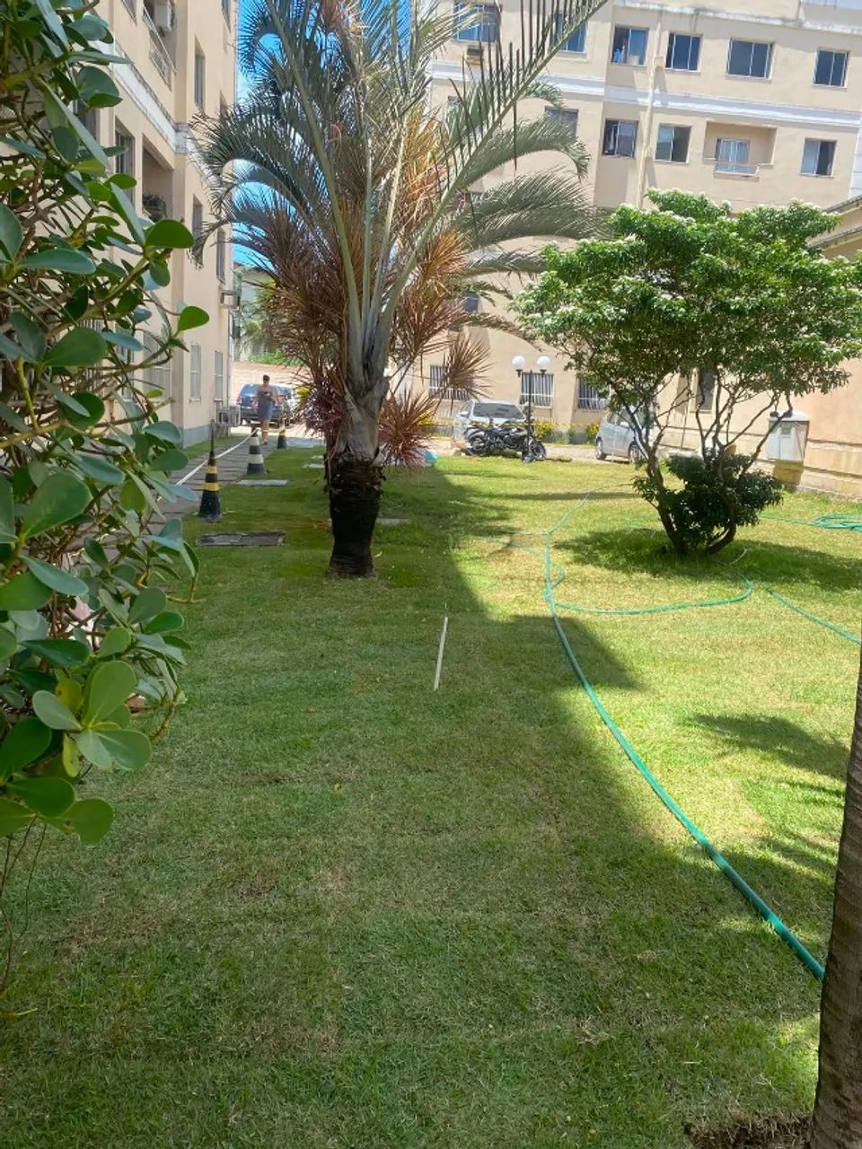 SERVIÇO DE JARDINAGEM - Foto 3