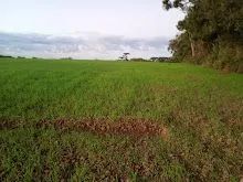 Terrenos em Contenda PR,  - Foto 4