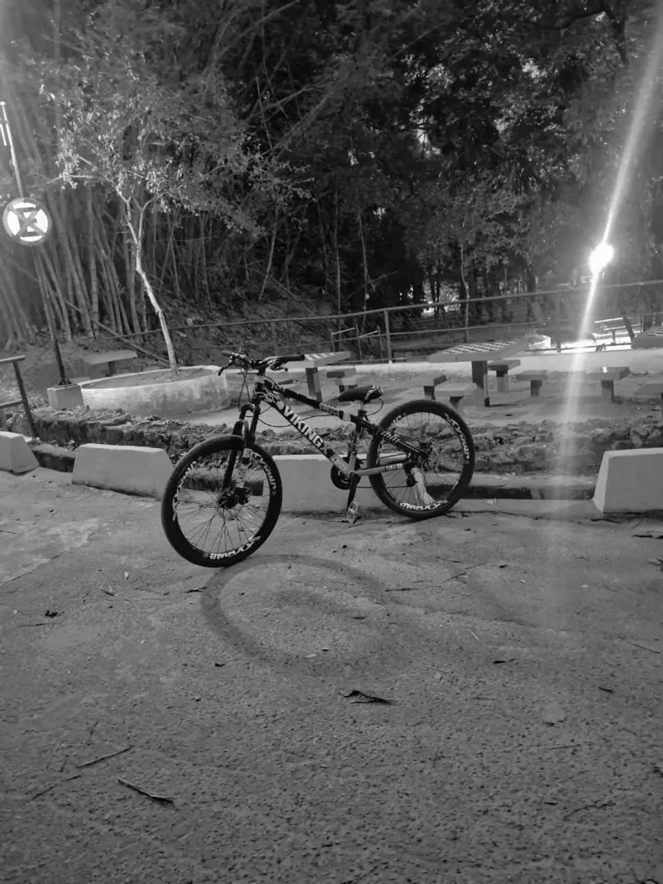 Bicicleta