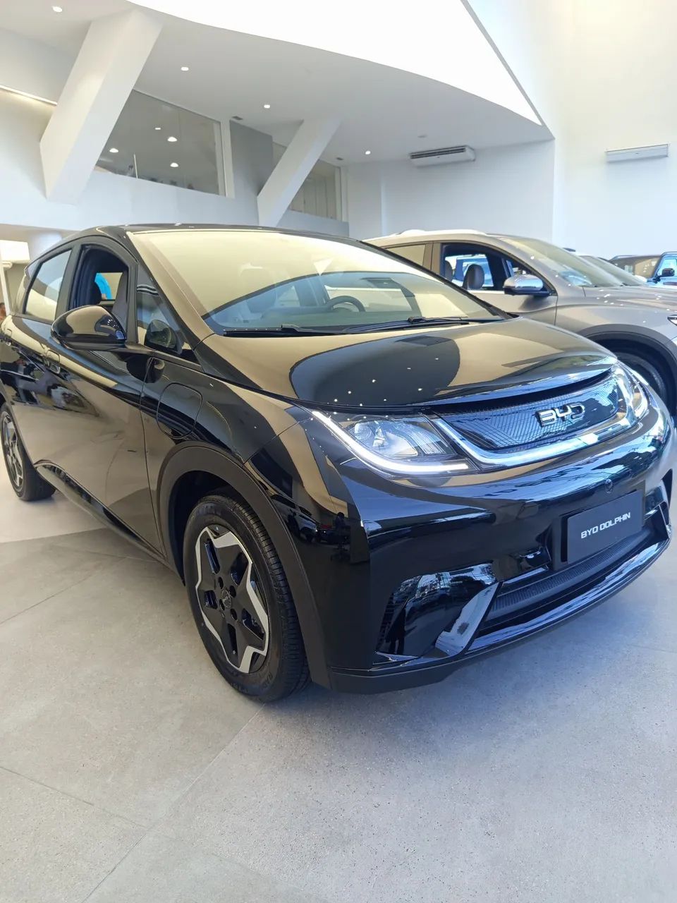 BYD Dolphin GS (Elétrico) 2027 - Foto 2