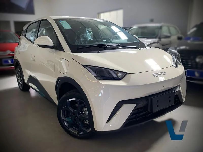 BYD Dolphin Mini (Elétrico) 2027 - Foto 3