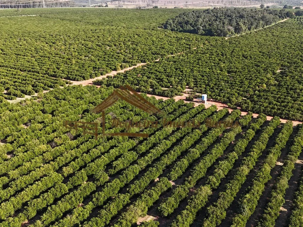 Fazenda com 75 alqueires na região de Garça-SP - Foto 3