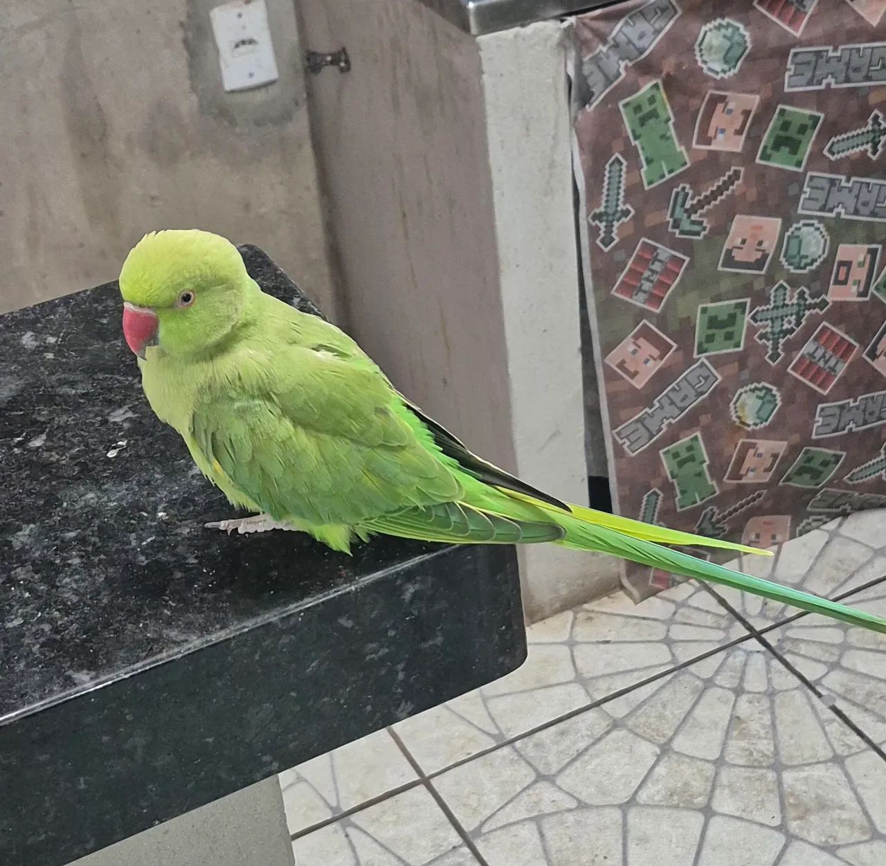 Disponível - Foto 6