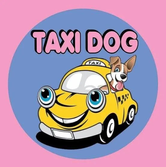 Táxi dog 