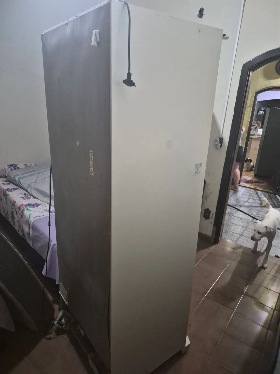 Geladeira Electrolux df50  - Foto 6