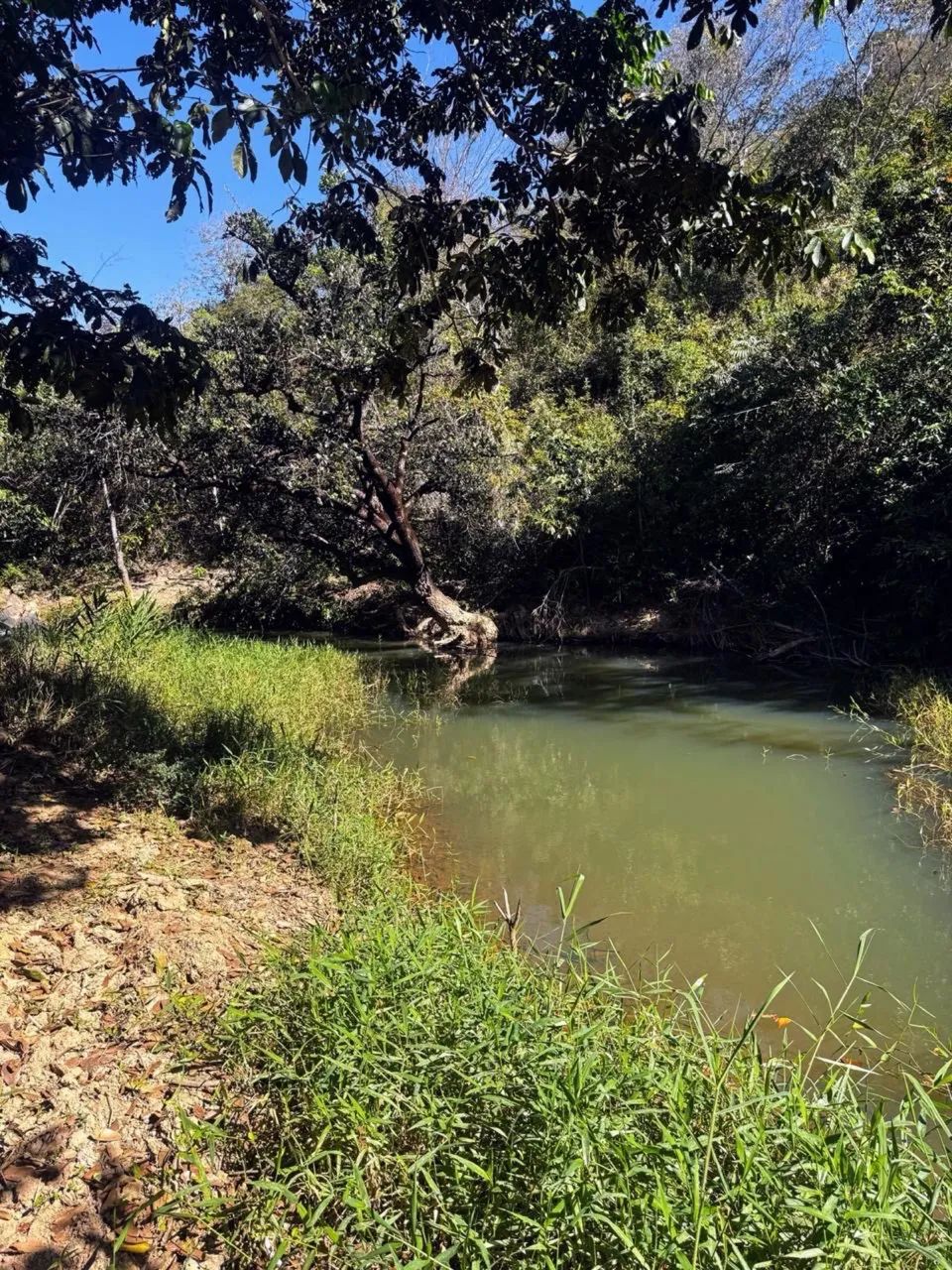 Vende-se terreno em Taquaraçu de Minas sítios chácaras  - Foto 5
