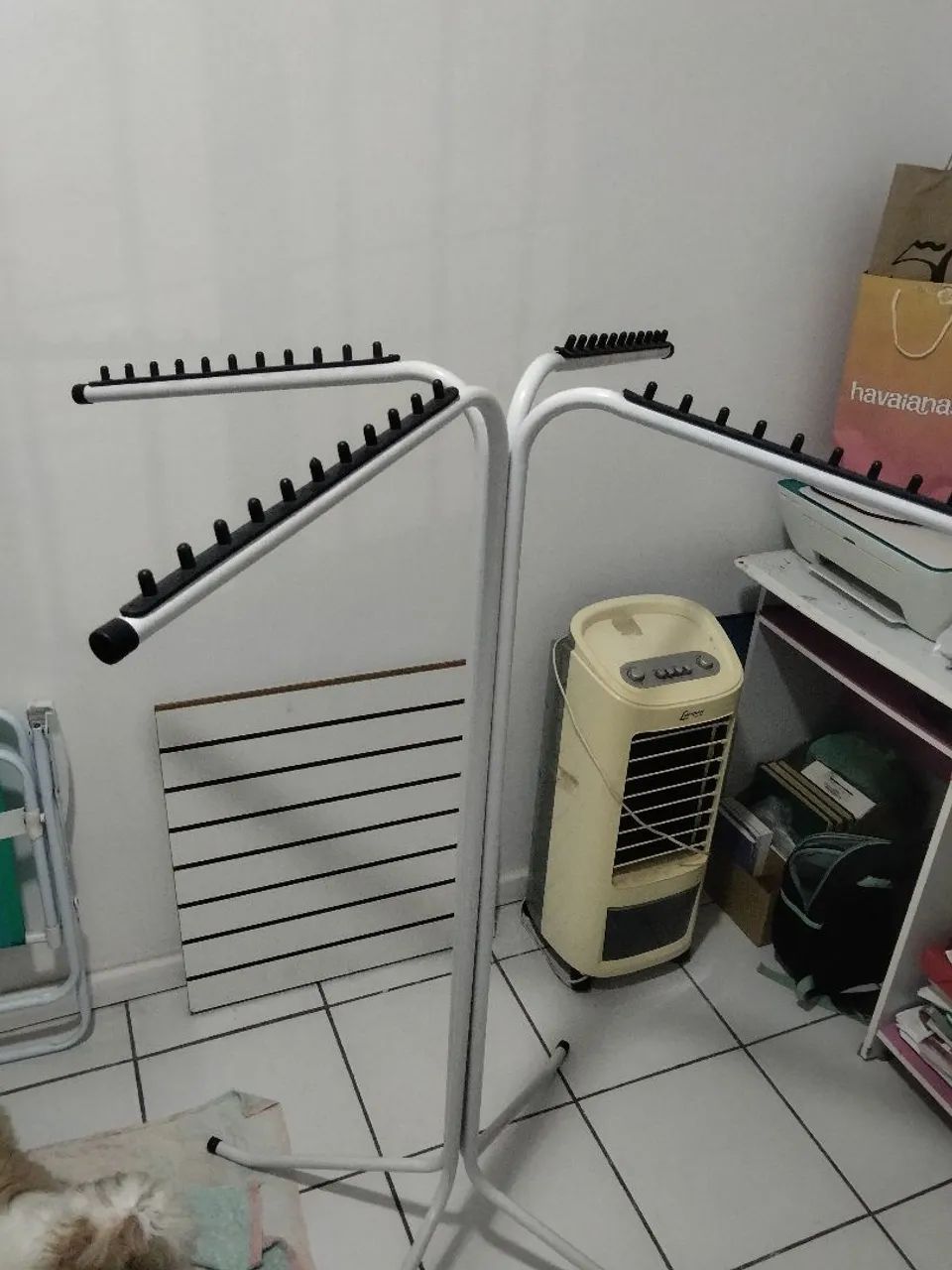 Arara de chão 