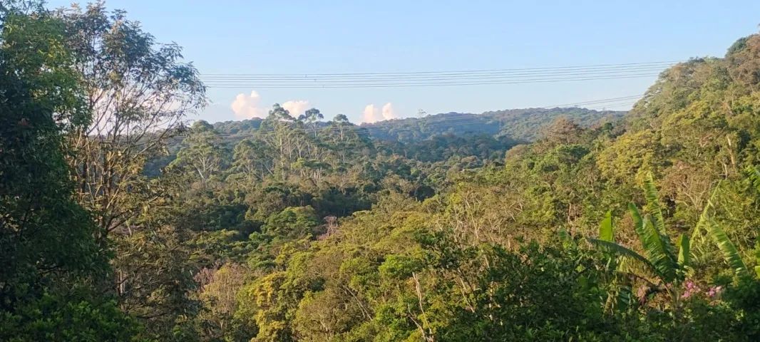 Sítio em Ibiúna - Foto 2