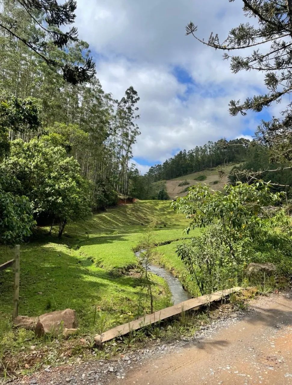 Linda área rural com 82 hectares em Vidal Ramos (SC) - Foto 3