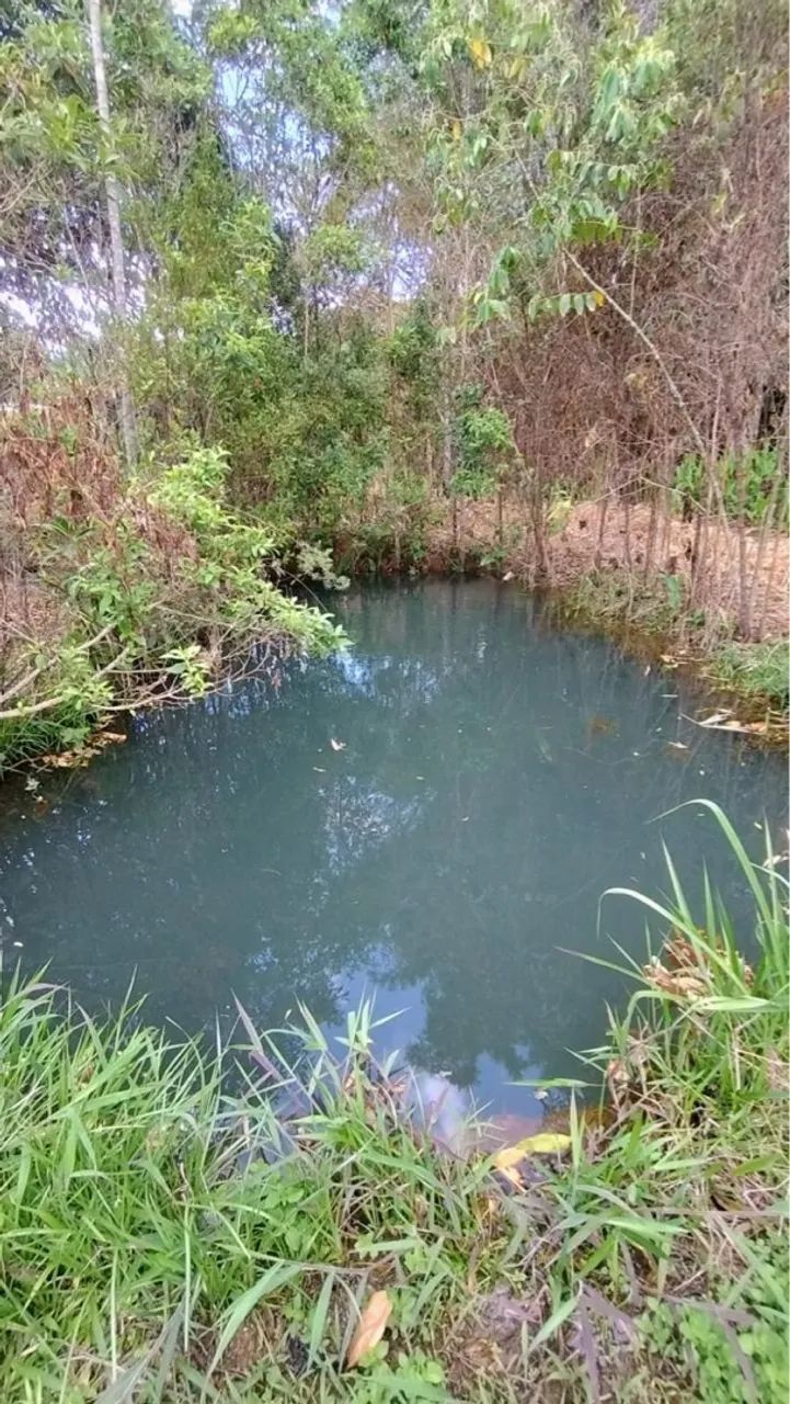 Vendo Chácara Rodeador Brazlândia  - Foto 3