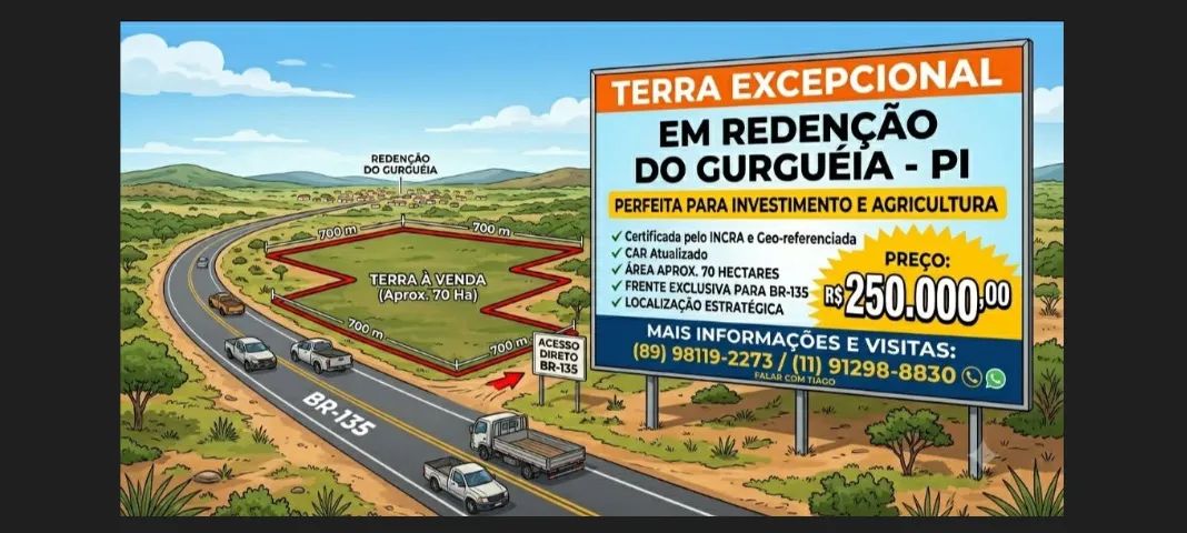 TERRA A VENDA 70ha