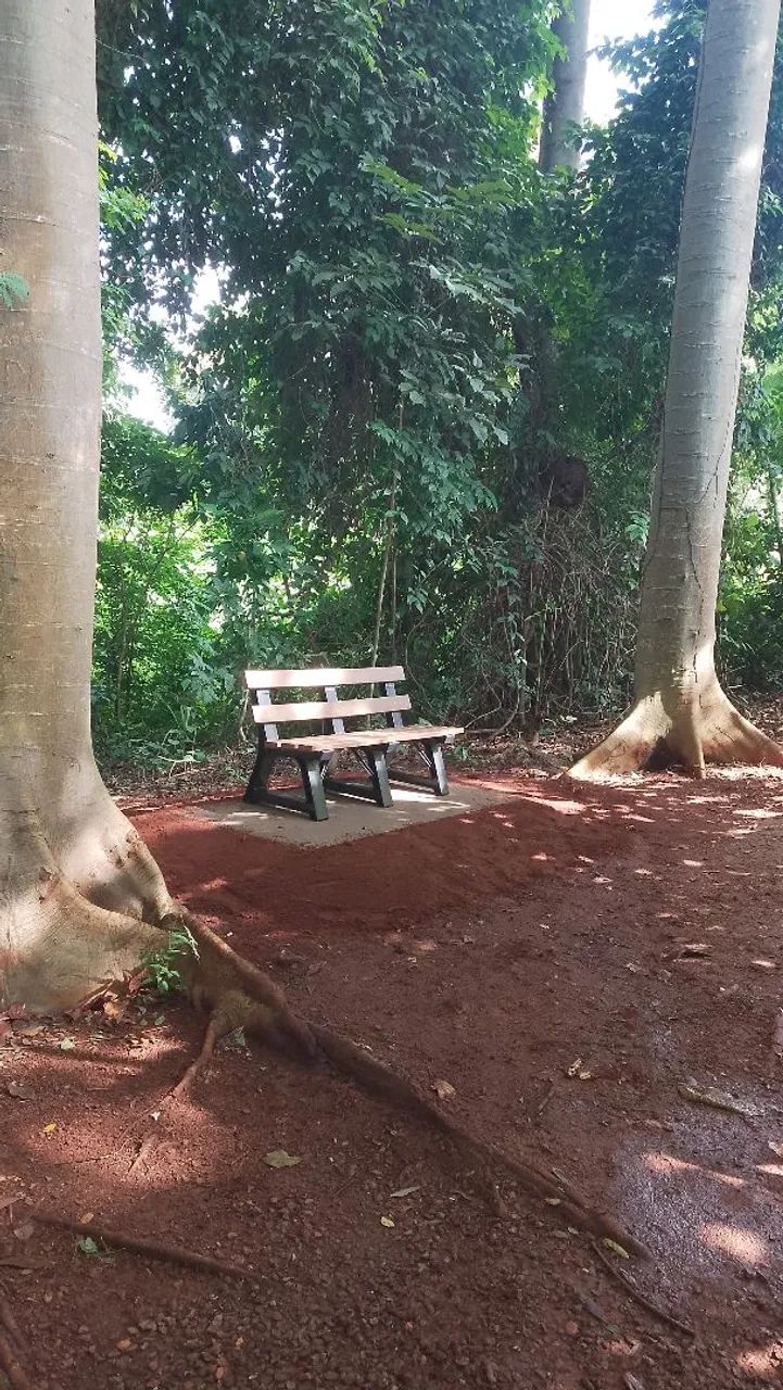 Manutenções em jardim podas de grama e plantios. - Foto 2