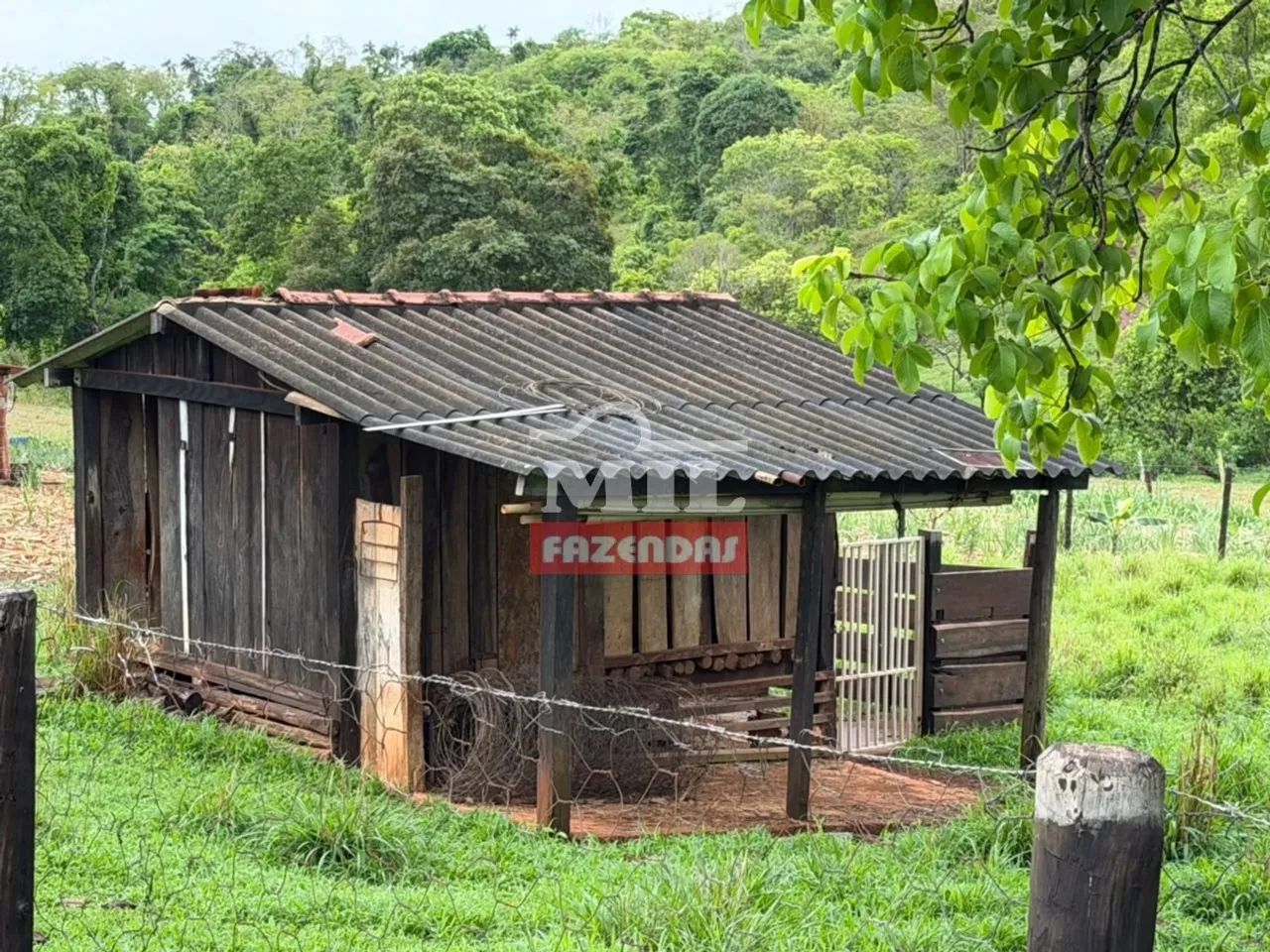 Chácara 43.000M² em Brazabrantes - GO - Foto 2