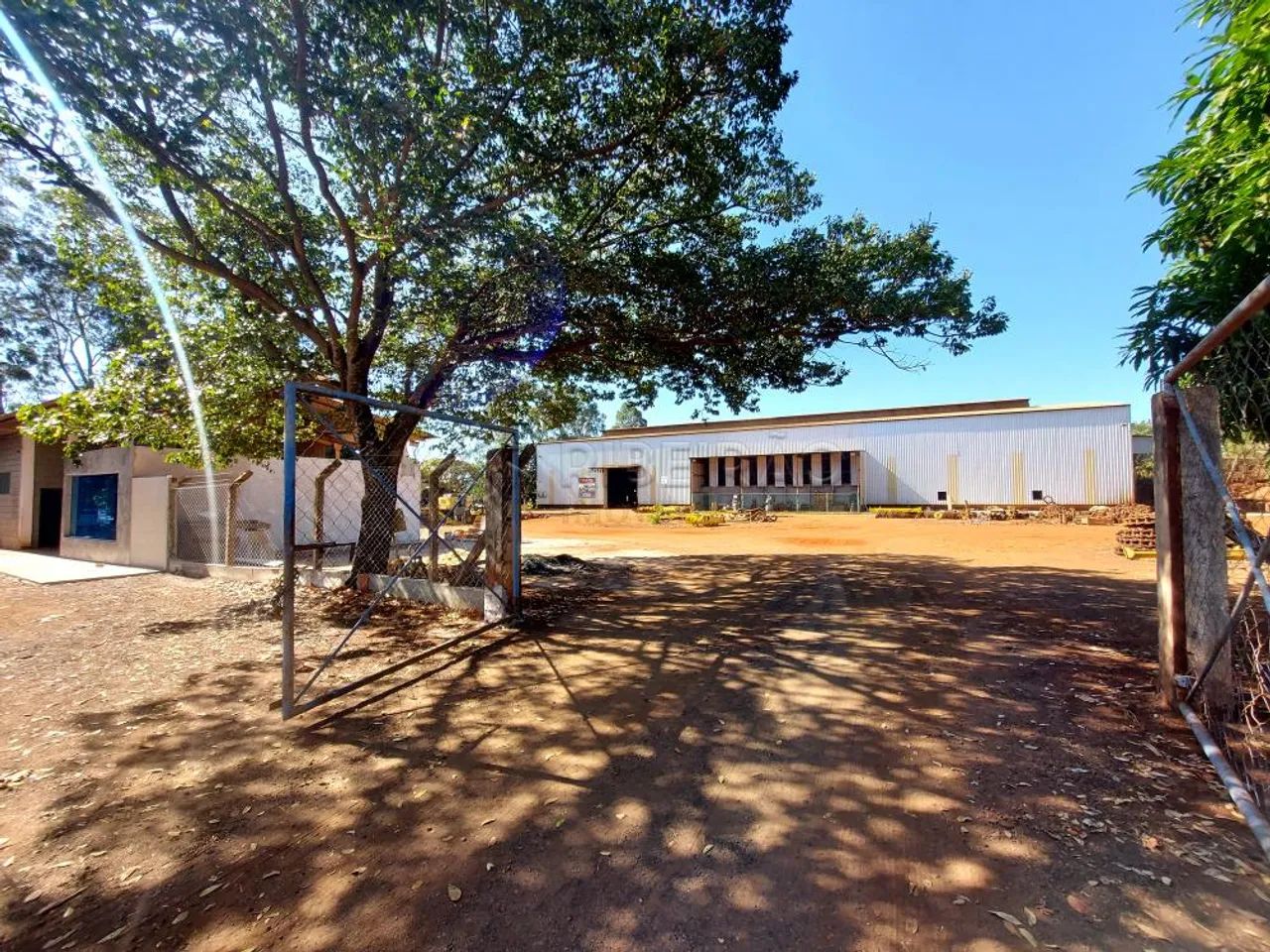 Comercial Galpão em Ribeirão Preto - Foto 5