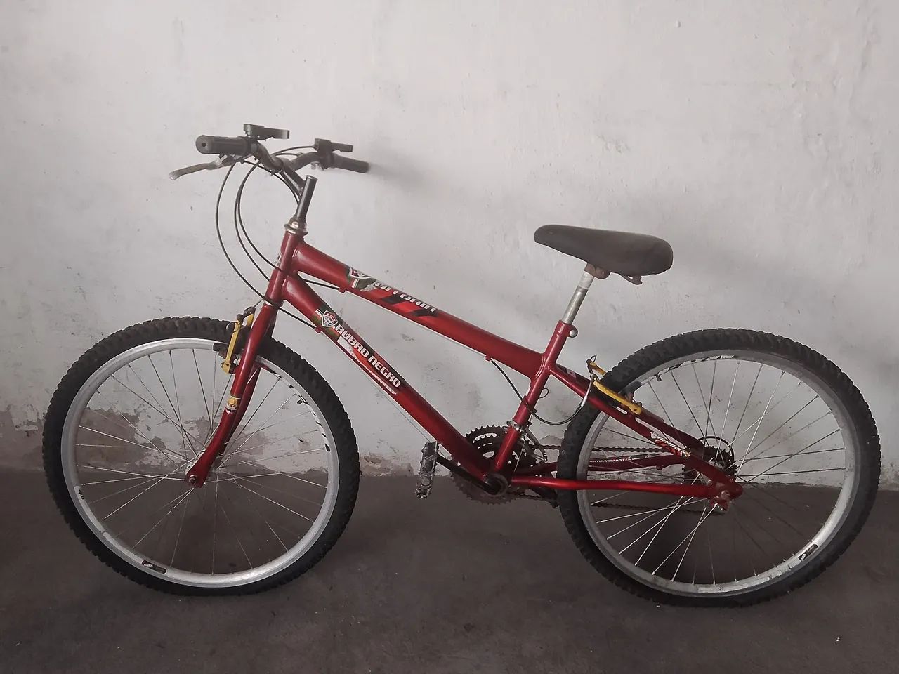 Bicicleta 