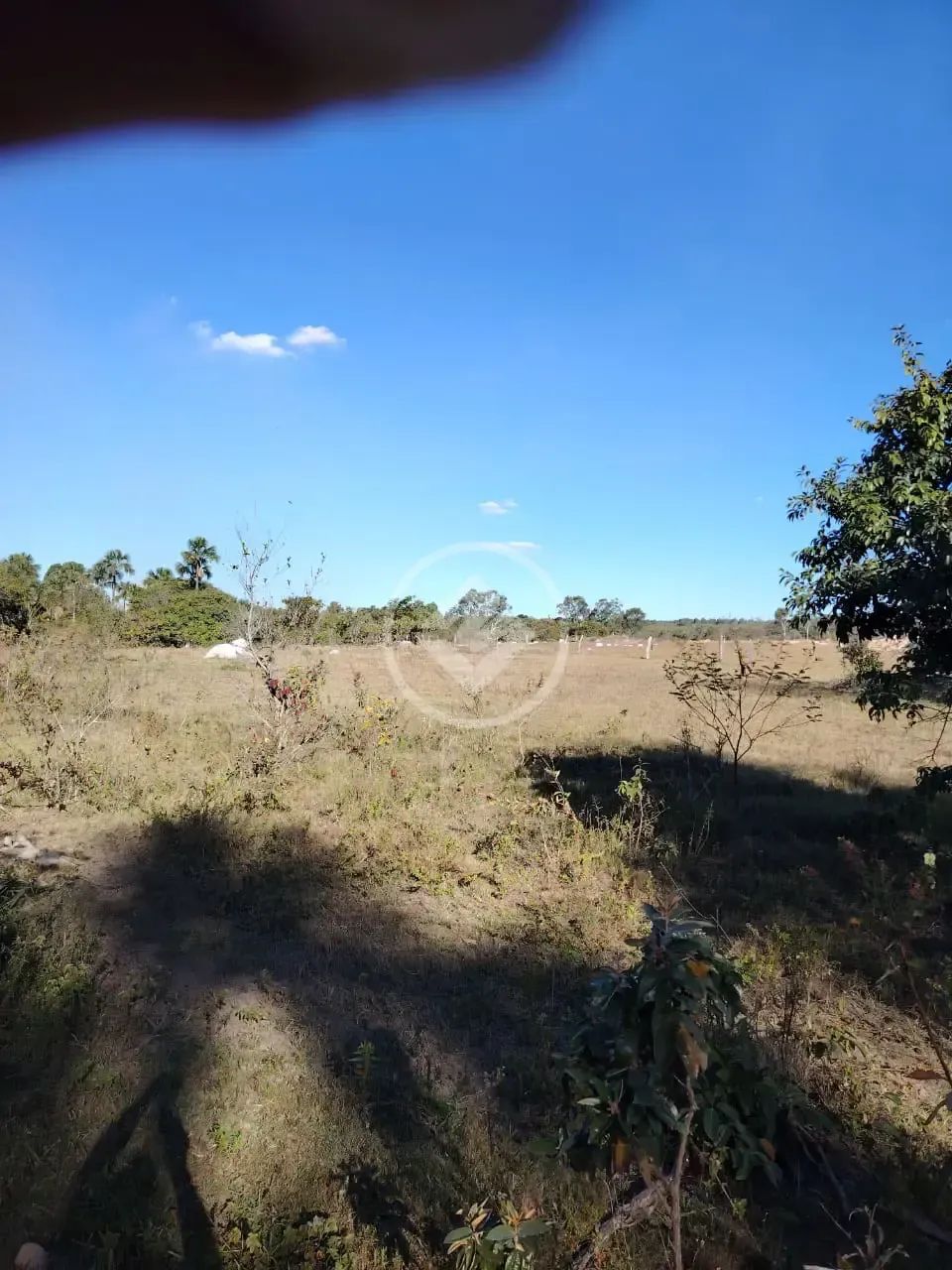 CHÁCARA A VENDA EM CRISTALINA codigo: 150455 - Foto 5