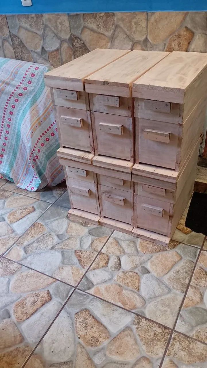 Caixa de abelha completa  - Foto 3
