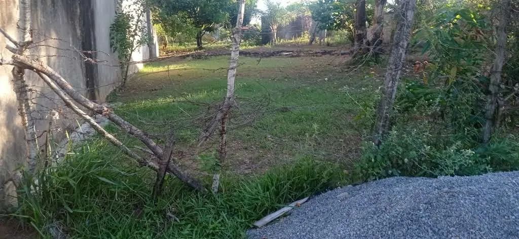 Foto - Salvador - Lobato