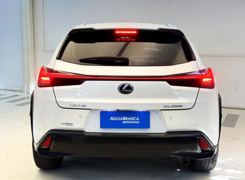 Lexus UX-250h Luxury 2.0 16V Aut.(hybrid), foto 8 de 19