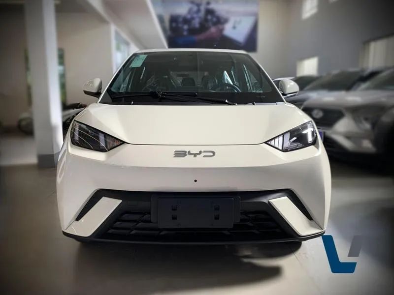 BYD Dolphin Mini (Elétrico) 2027 - Foto 2