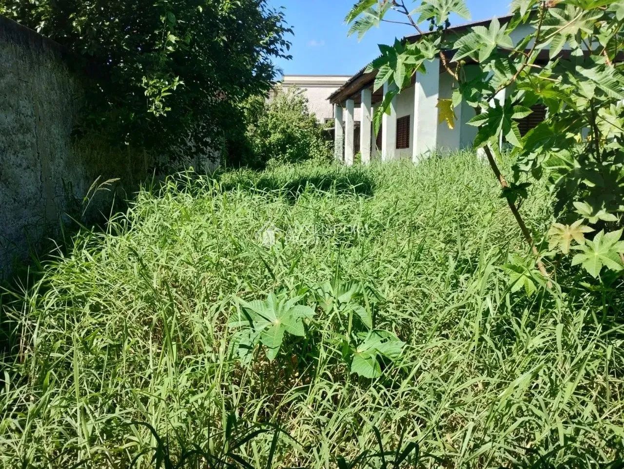 Terreno na Restinga